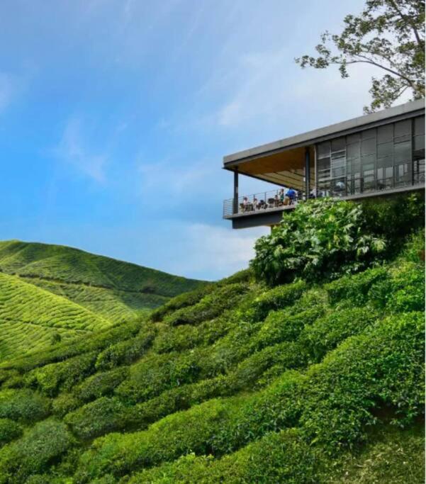 Serene Muji Family Apartment Cameron Highlands
